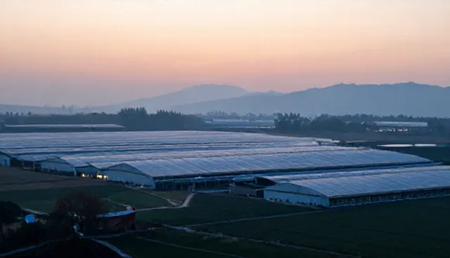 会务执行服务场景选型与使用建议